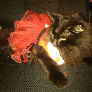 Meet your Posher, Devin